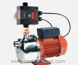 images 2021 03 12T013639.740