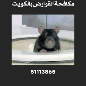 مكافحة القوارض بالكويت 51113865 2 مكافحة القوارض بالكويت